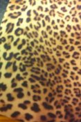 tröjtryck mönstrad leopard