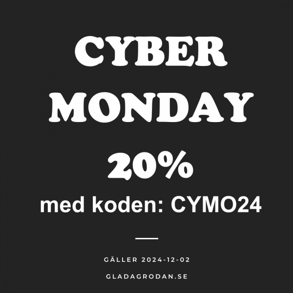 CYBER MONDAY 2024